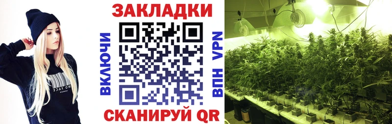 Наркота Себеж МАРИХУАНА A PVP kraken сайт Гашиш
