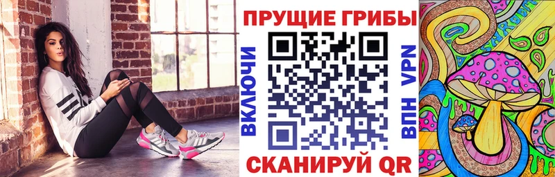 как найти закладки  Себеж  Галлюциногенные грибы Cubensis 