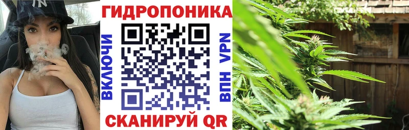 Канабис SATIVA & INDICA  Себеж 